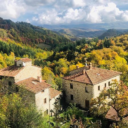 Bio Agriturismo Il Vigno Caprese Michelangelo Exteriör bild