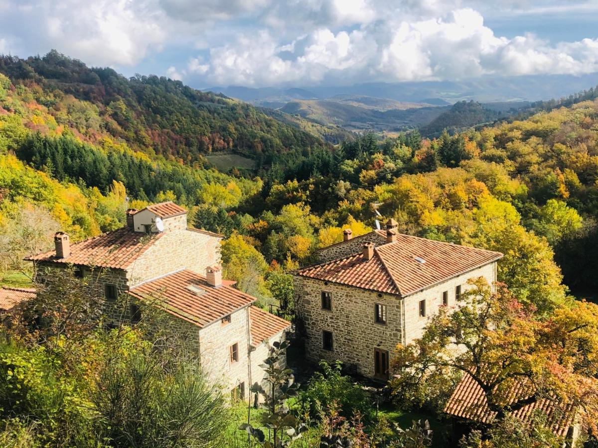 Bio Agriturismo Il Vigno Caprese Michelangelo Exteriör bild