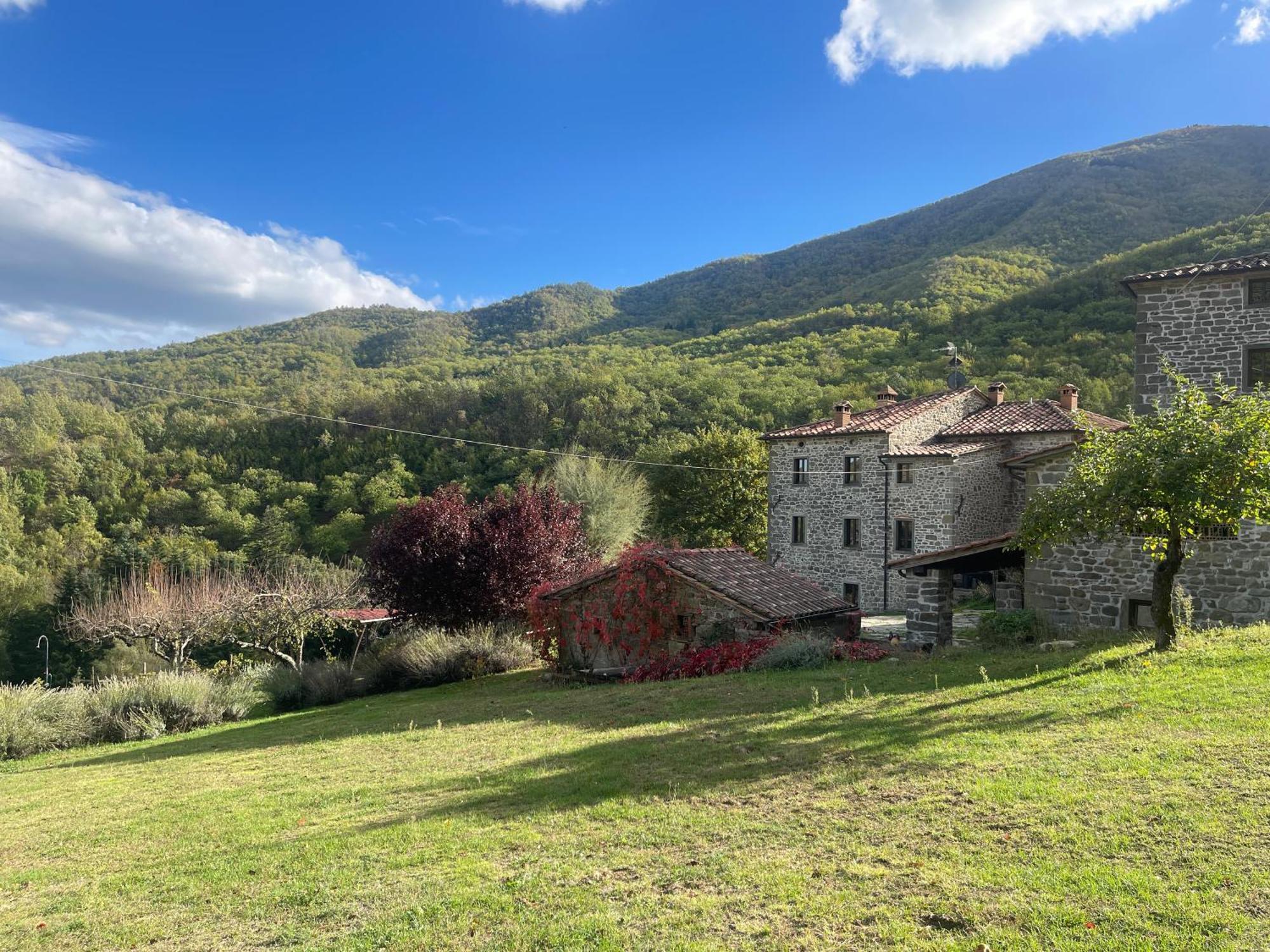 Bio Agriturismo Il Vigno Caprese Michelangelo Exteriör bild