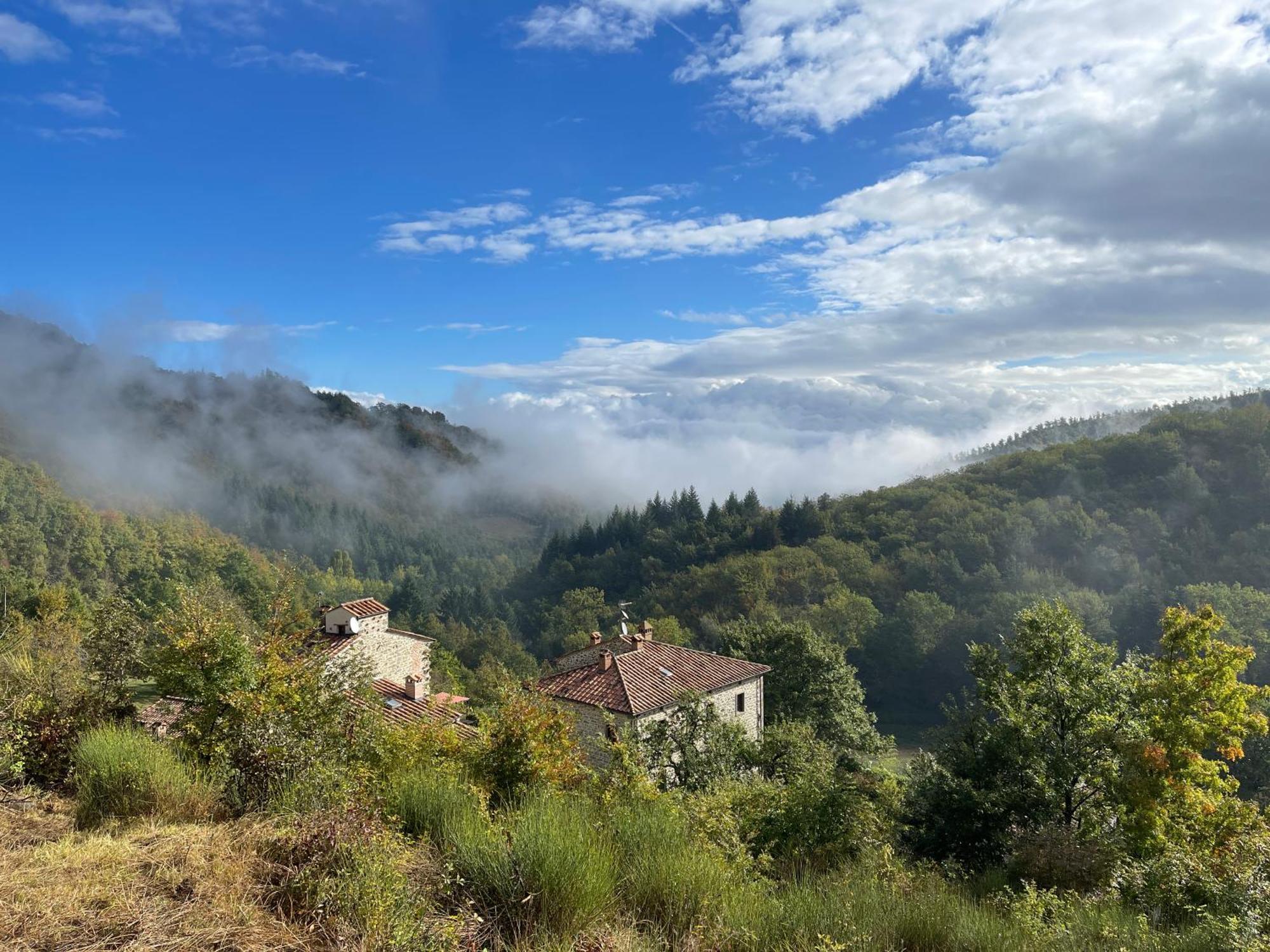 Bio Agriturismo Il Vigno Caprese Michelangelo Exteriör bild