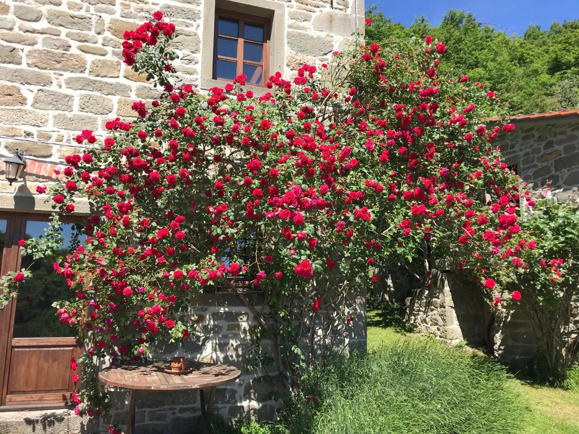 Bio Agriturismo Il Vigno Caprese Michelangelo Exteriör bild