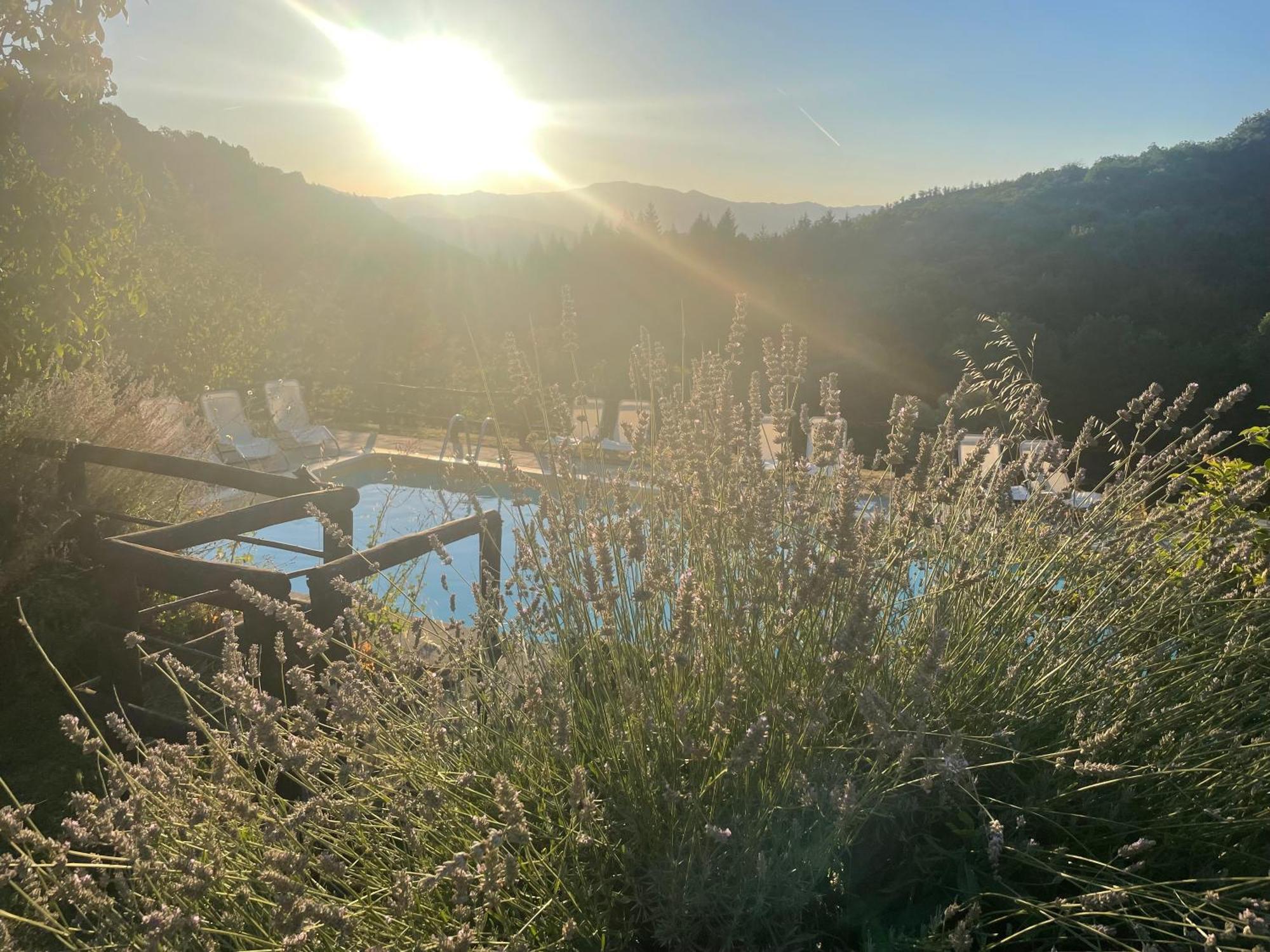 Bio Agriturismo Il Vigno Caprese Michelangelo Exteriör bild