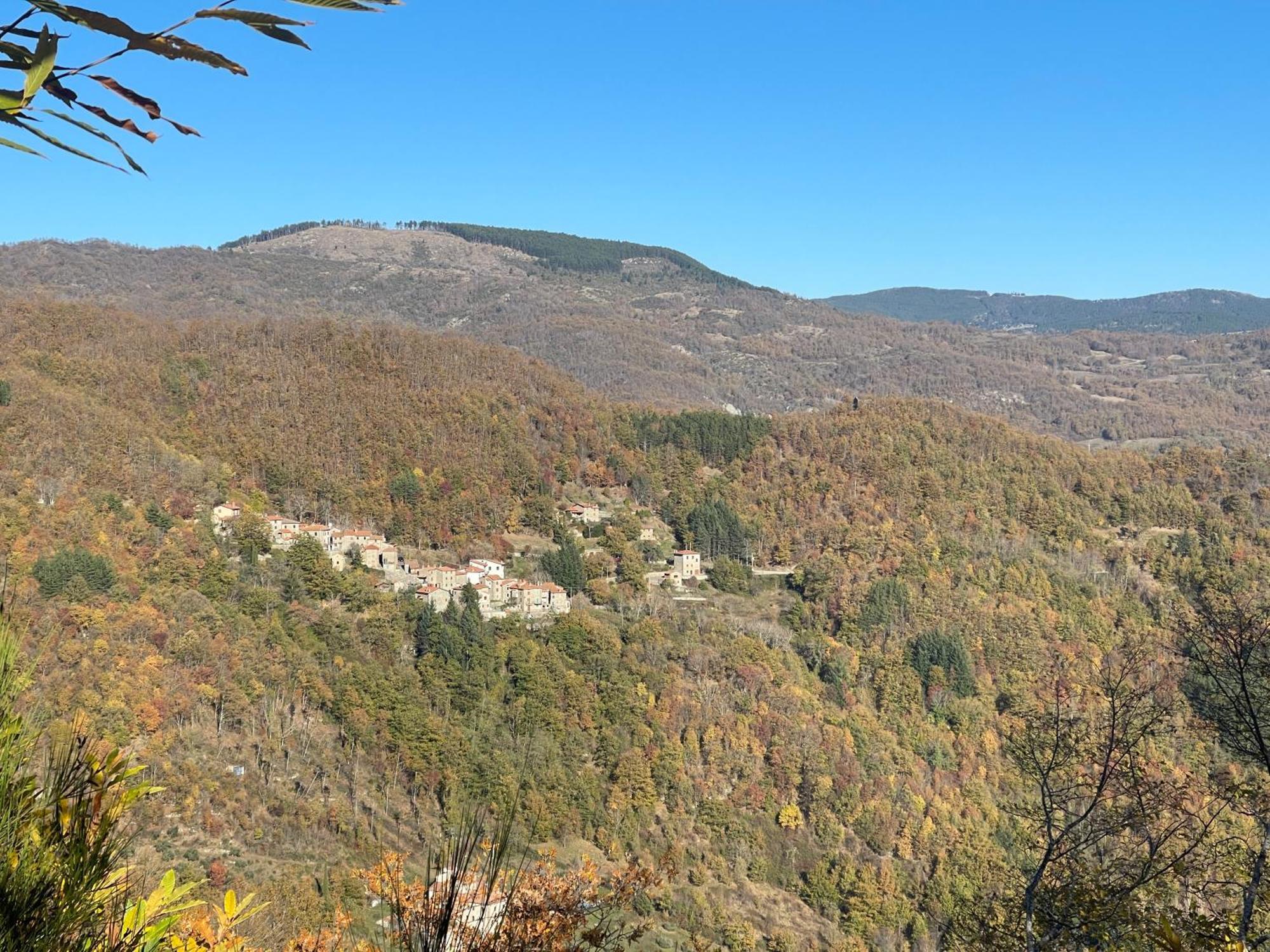 Bio Agriturismo Il Vigno Caprese Michelangelo Exteriör bild
