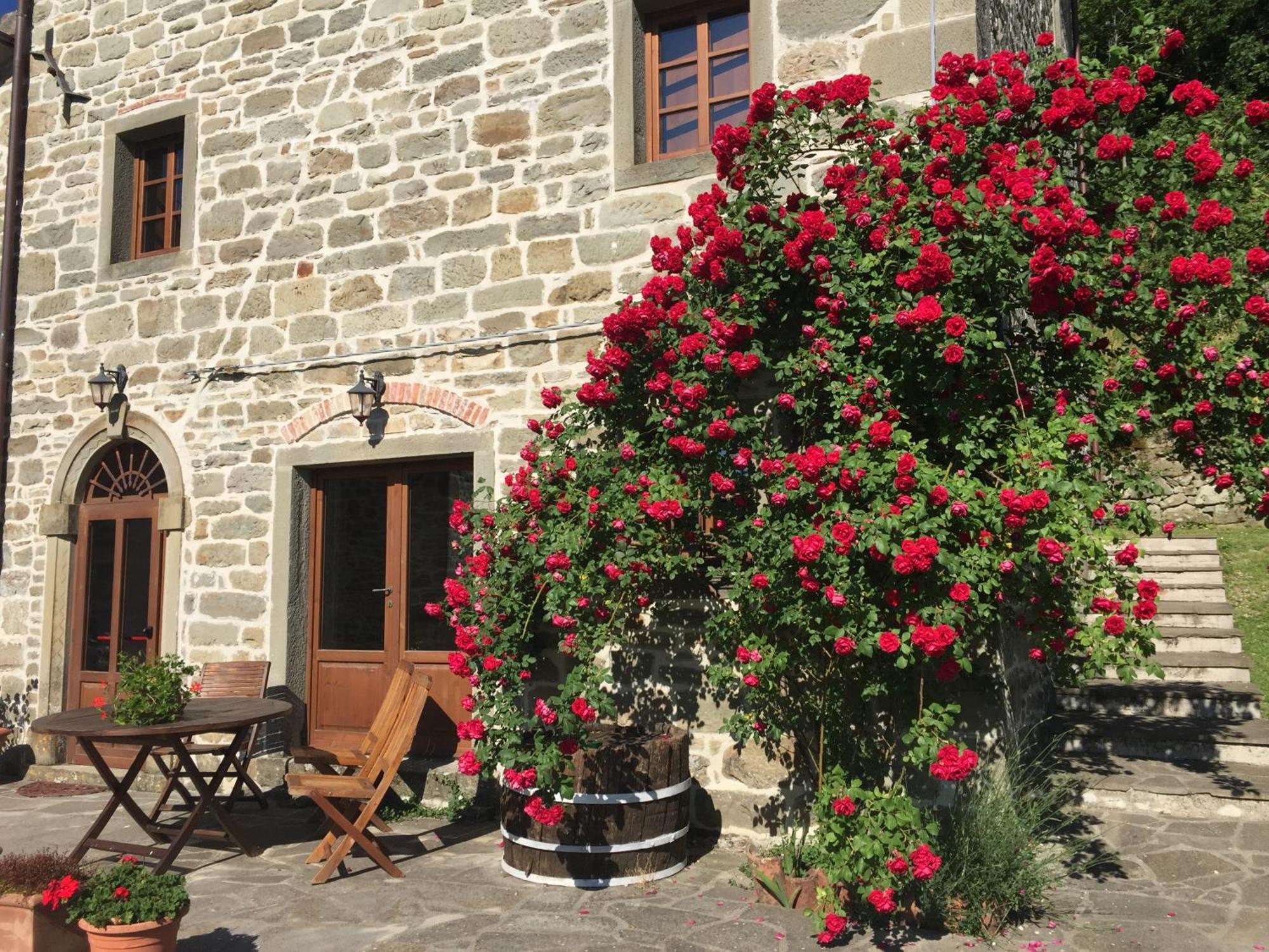 Bio Agriturismo Il Vigno Caprese Michelangelo Exteriör bild