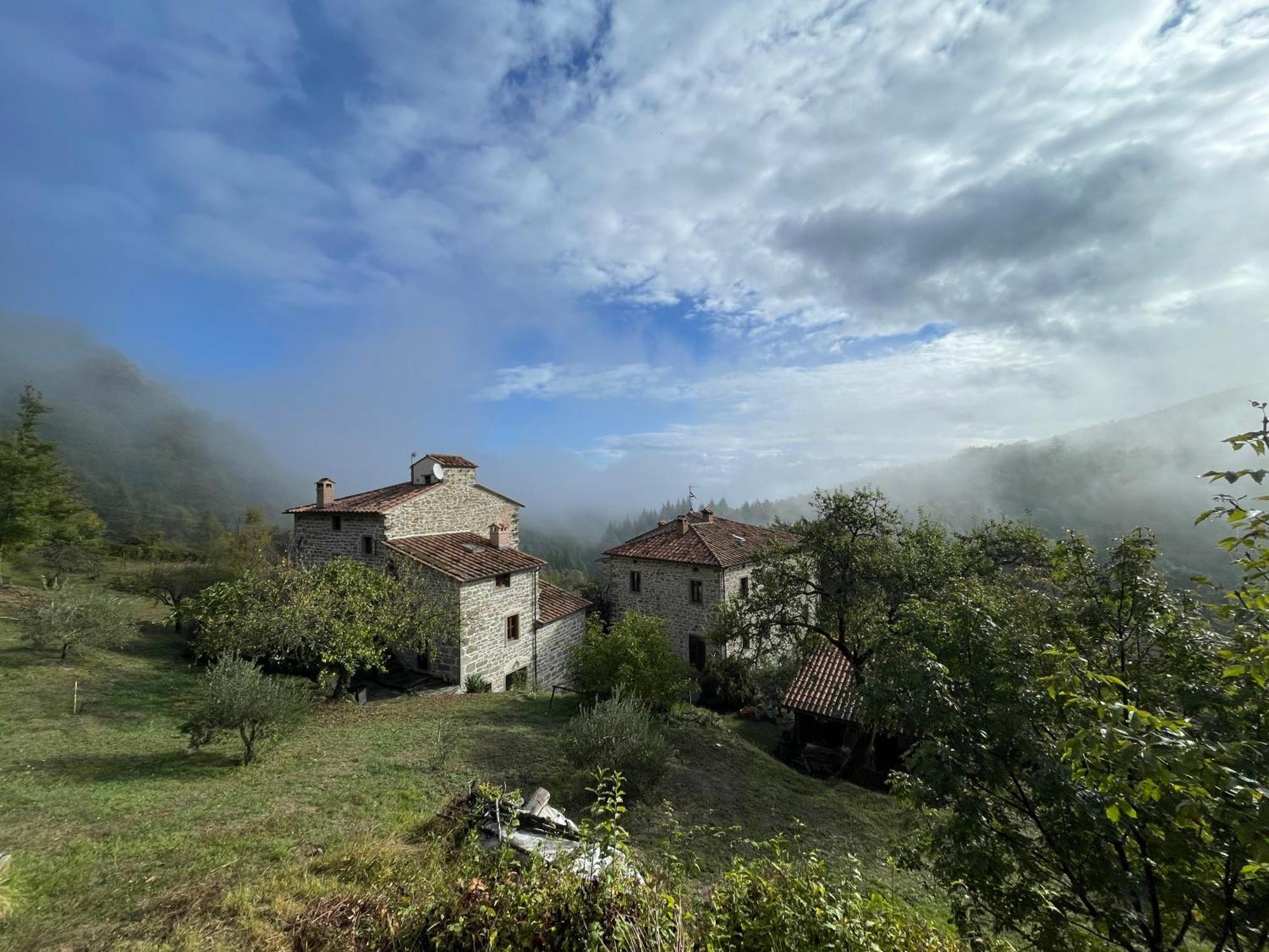 Bio Agriturismo Il Vigno Caprese Michelangelo Exteriör bild