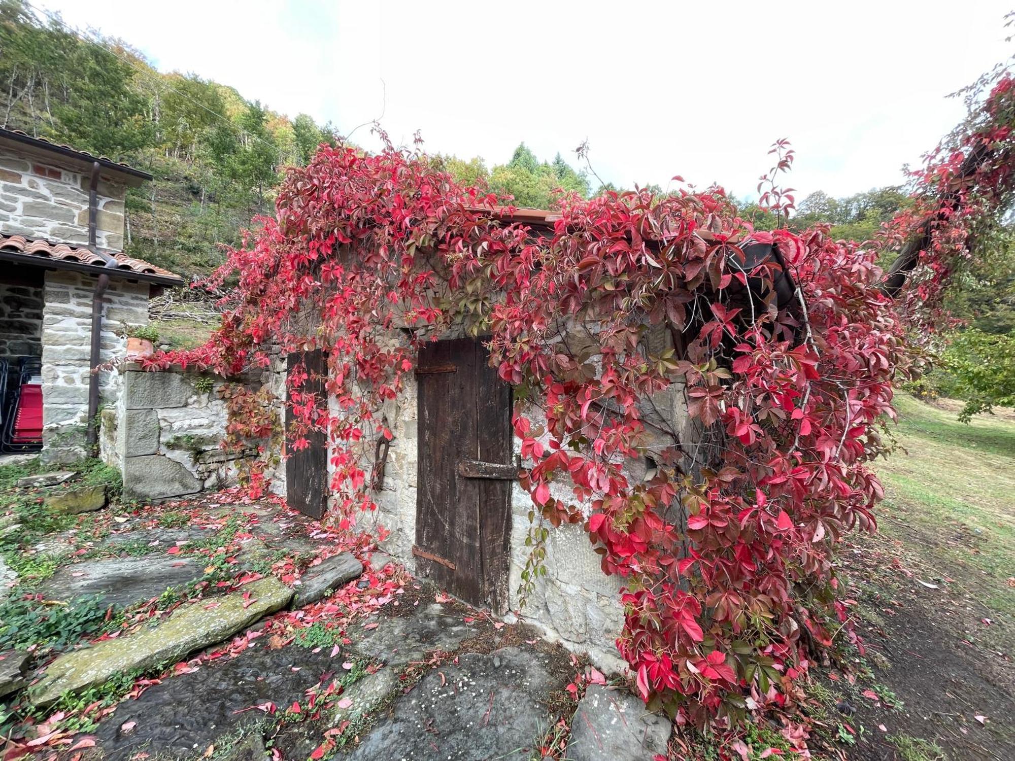 Bio Agriturismo Il Vigno Caprese Michelangelo Exteriör bild